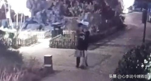 出殡吃瓜视频完整版,一场引发争议的民俗现象深度解析