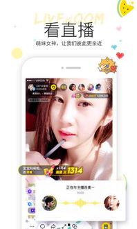 小陈吃瓜视频在线观看免费,免费在线观看，揭秘娱乐圈幕后故事