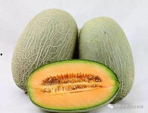 吃冰糖哈密瓜视频