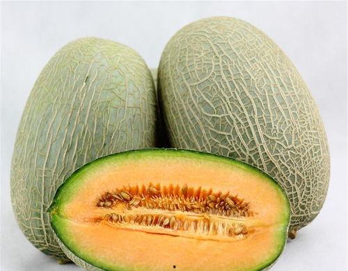 小糖糖吃哈密瓜视频大全,视频大全回顾