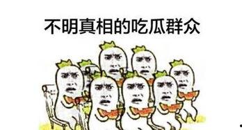 普通人吃瓜群众视频,普通人如何通过视频洞察社会热点
